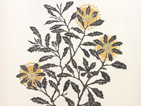 sujora conrad artwork
